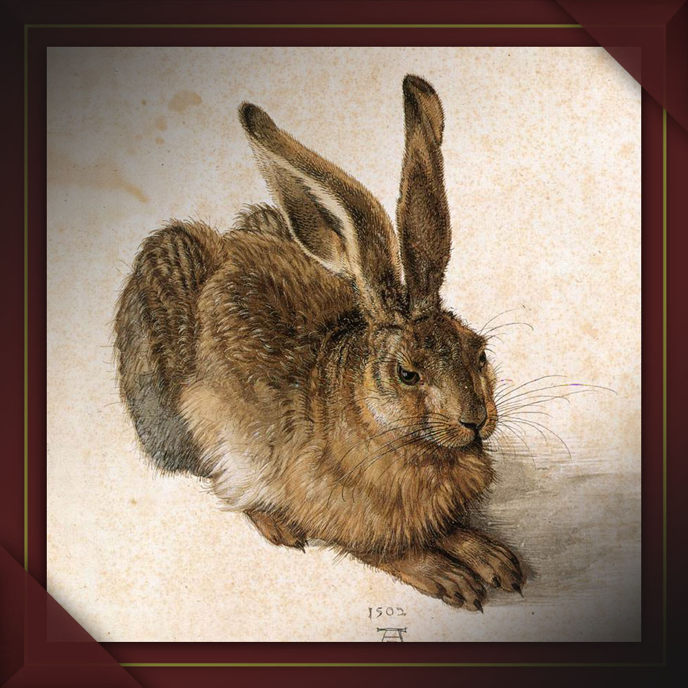 albrecht-durer-lievre-1502